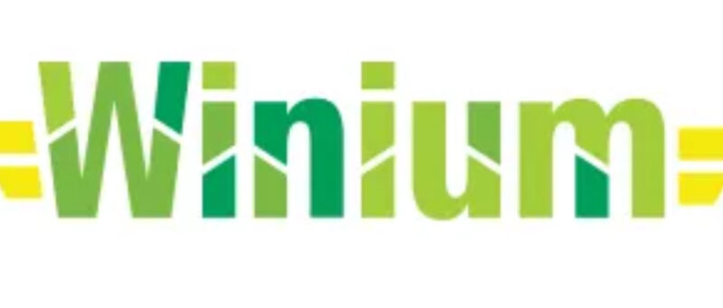 Winium logo